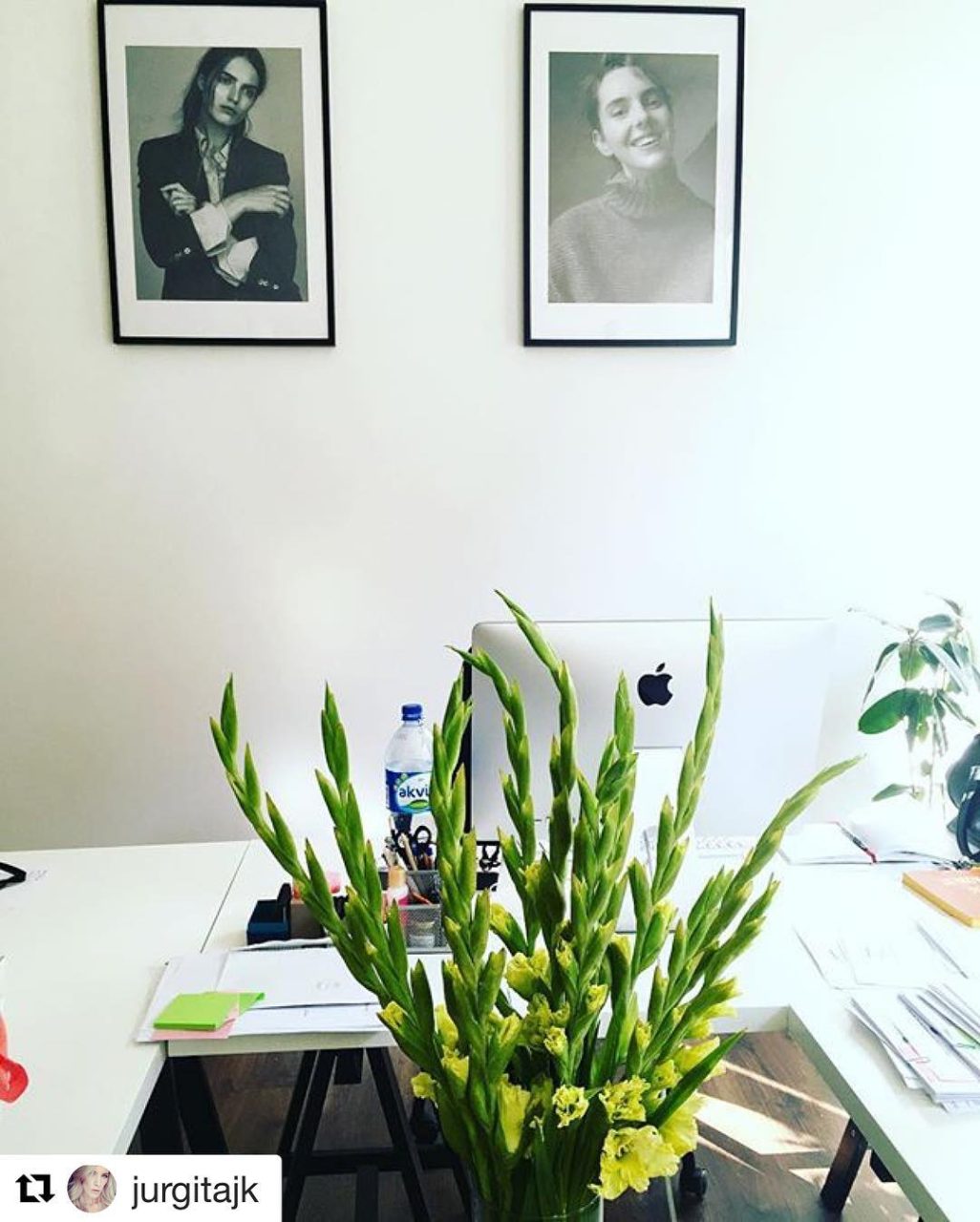 Beautiful Monday at the office ☀️💐 #supermodels #modelmanagement #monday #office