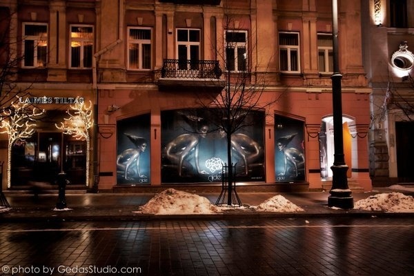 Justina – Nijolės reklamos veidas
