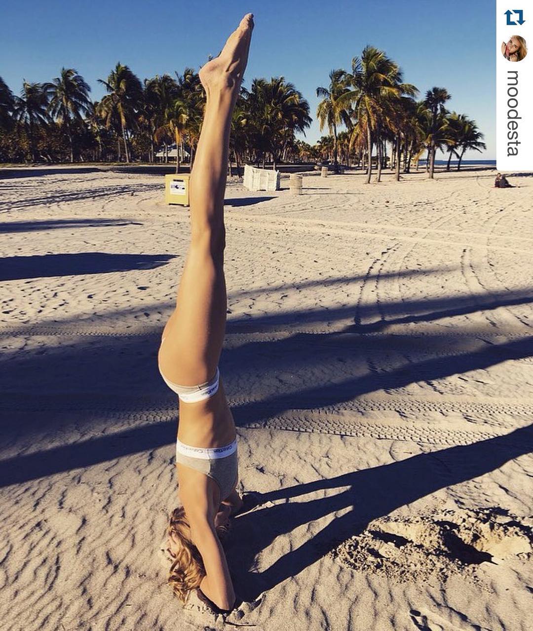 Morning!!! ☀️ Take a look at our Modesta’s mornings in Miami!!! 💪🏼 Amazing, r…